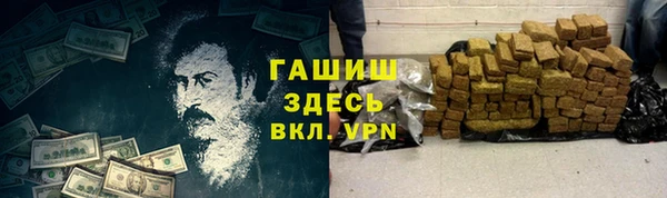 гашик Мегион