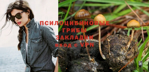 марки lsd Медногорск