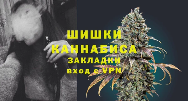 ГАЛЛЮЦИНОГЕННЫЕ ГРИБЫ Медвежьегорск