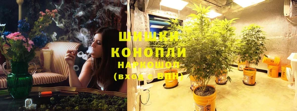 ГАЛЛЮЦИНОГЕННЫЕ ГРИБЫ Медвежьегорск
