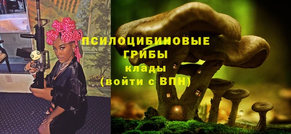 марки lsd Медногорск