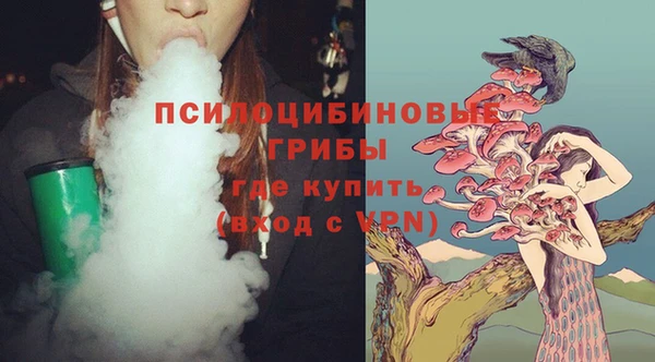 гашик Мегион