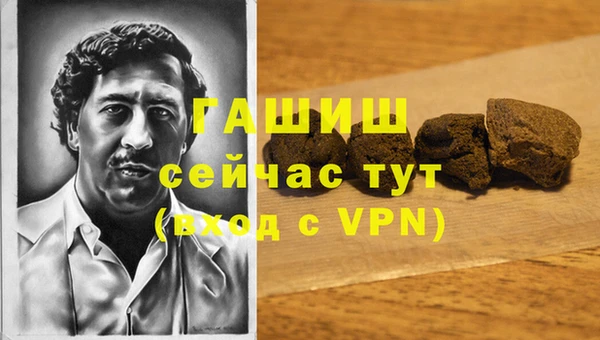 гашик Мегион