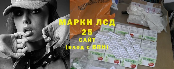 ГАЛЛЮЦИНОГЕННЫЕ ГРИБЫ Медвежьегорск