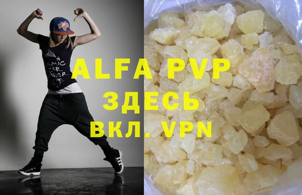 гашик Мегион