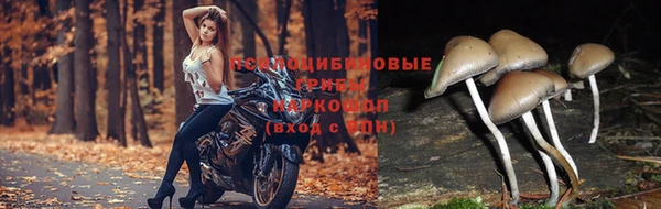 марки lsd Медногорск