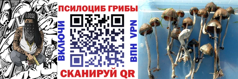 где найти наркотики  Трёхгорный  Галлюциногенные грибы MAGIC MUSHROOMS 